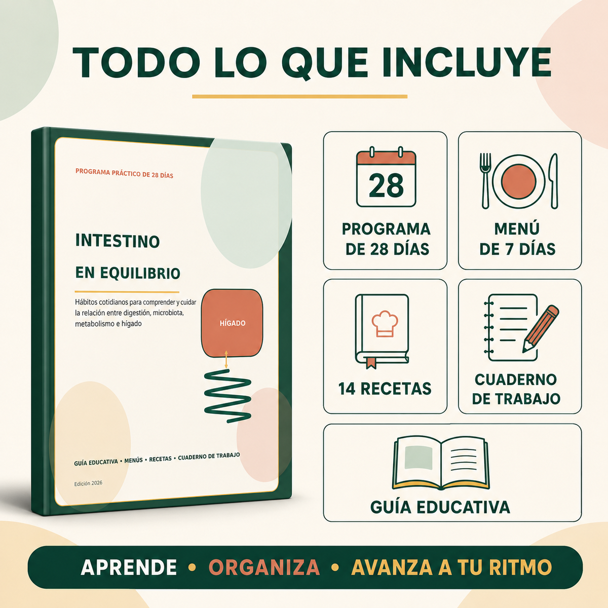 Infografía - Todo lo que incluye Intestino en Equilibrio