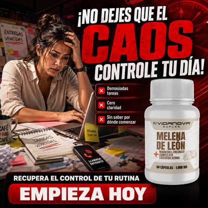 Melena de León Fortificada — Foco, Memoria y Energía Mental | 60 Cápsulas + E-book Gratis